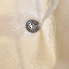 Flat Drain Combo for Bathtub & Bathroom Sink - White